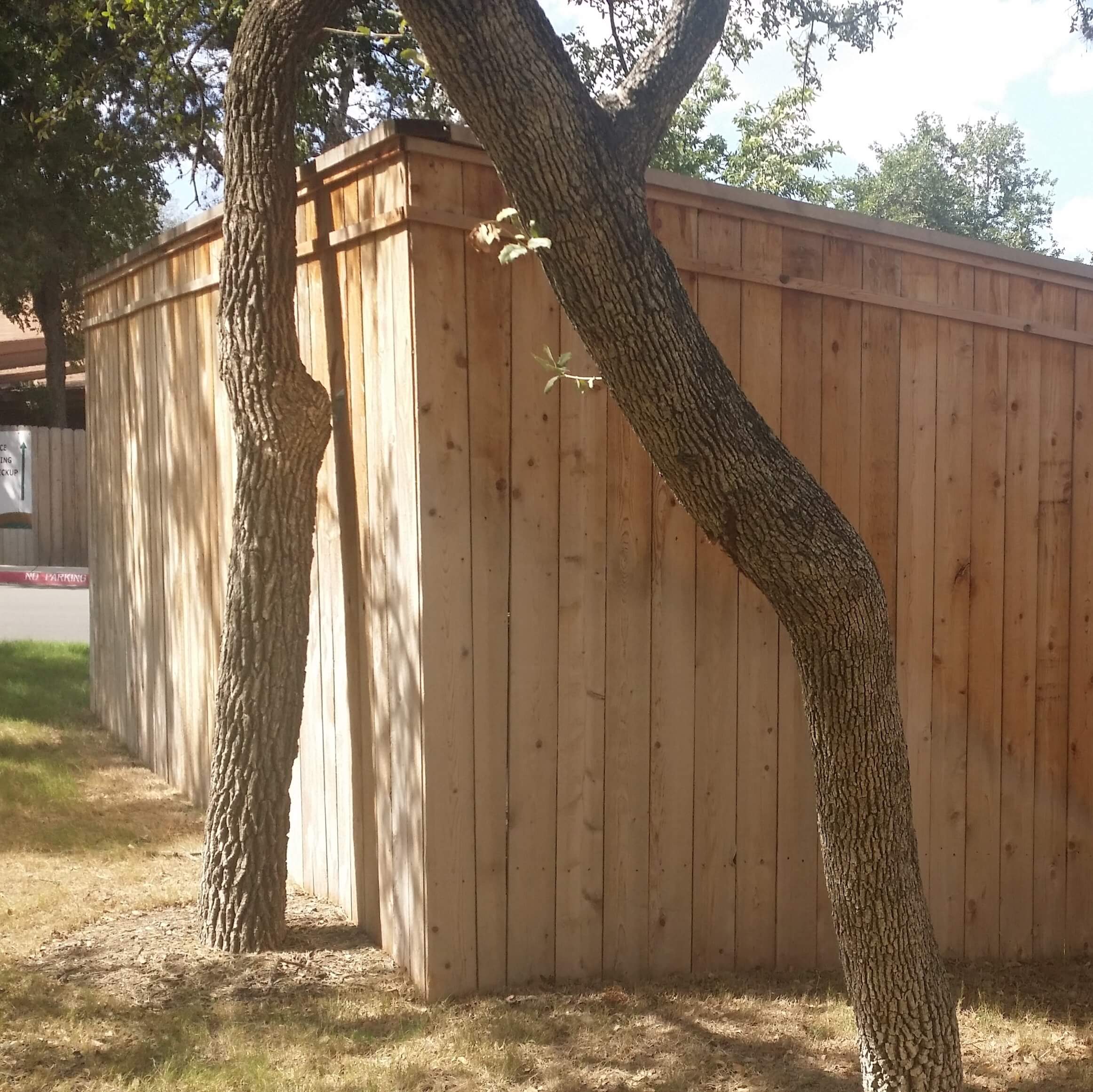 Wood Privacy, Iron, & Custom Fences